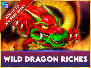 Wild Dragon Riches screenshot